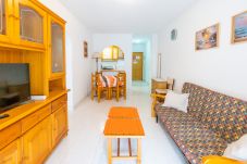 Apartamento en Torrevieja - ID70