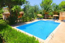 Jardín, naturaleza, piscina, bonita, Mallorca