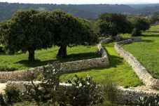 Casa en Donnafugata - Corte Iblea - Terrazza Ibla