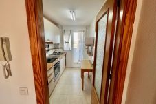 Apartamento en La Manga del Mar Menor - MARES I ESC. 3  6B