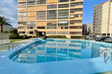 Apartamento en Benidorm - R014