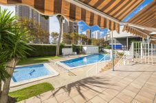 Apartamento en Benidorm - Albatros Ground Floor 1-4 Apartment Levante Beach