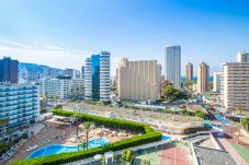 Apartamento en Benidorm - Torre Domo 9-D Levante Beach