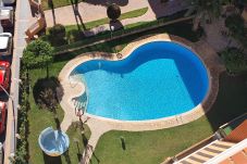 Apartamento en Benidorm - ADELFAS 10D