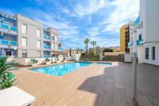 Apartamento en Torrevieja - Cibeles