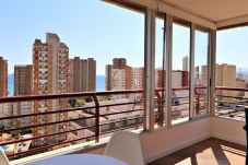 Apartamento en Benidorm - Piscis 12-1