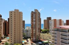 Apartamento en Benidorm - Piscis 12-2