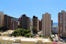 Apartamento en Benidorm - Piscis 12-2