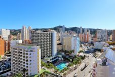 Apartamento en Benidorm - Torre Mar 14-B