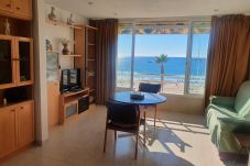 Estudio en Benidorm - R108