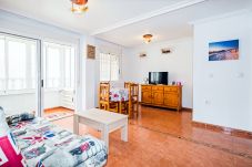 Apartamento en Torrevieja - ID75