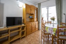 Apartamento en Torrevieja - ID40