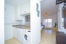 Apartamento en Torrevieja - 015 Torremar Nice Holiday - Alicante Holiday