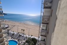 Apartamento en Benidorm - Apartamento  Miramar Playa IF Benidorm