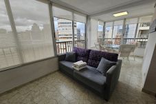 Apartamento en Benidorm - Apartamento  Miramar Playa IF Benidorm