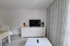 Apartamento en Benidorm - Apartamento  El Circo IF Benidorm