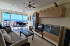 Apartamento en Benidorm - Apartamento Acacias 19 IF Benidorm