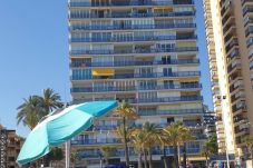 Apartamento en Benidorm - Apartamento  Las Palmeras 6 IF Benidorm