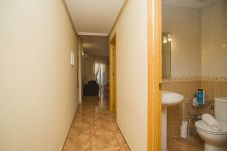 Apartamento en Torrevieja - 141 Rambla Nice Place - Alicante Holiday