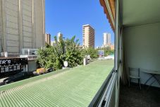 Apartamento en Benidorm - N071