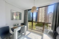 Estudio en Benidorm - N105