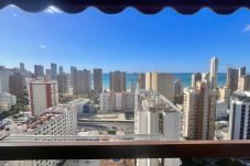 Apartamento en Benidorm - N075