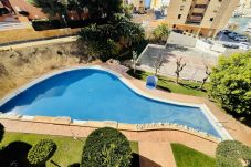 Apartamento en Cala de Finestrat - A1031 - Entreplayas 1