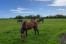 Casa rural en Kilmore quay - Inish Holiday Cottage