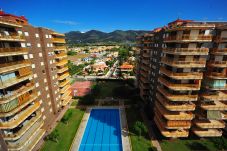 Apartamento en Benicàssim - BENIPAL III-2-154