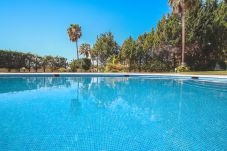 Apartamento en Albufeira - Apartment Rhodes