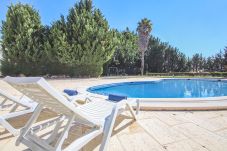 Apartamento en Albufeira - Apartment Rhodes