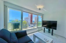 Estudio en Benidorm - N113