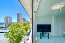 Estudio en Benidorm - N113