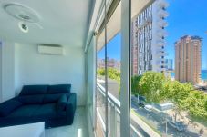 Estudio en Benidorm - N113