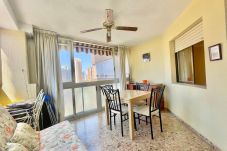 Apartamento en Benidorm - N159