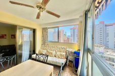 Apartamento en Benidorm - N159