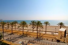 Appartement à El Campello - ESTUDIO PLAYA MUCHAVISTA