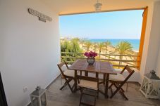 Appartement à El Campello - ESTUDIO PLAYA MUCHAVISTA