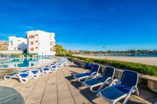 Apartment on the beach of alcudia with swimming pool