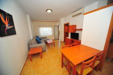 Appartement à Benicàssim - BALI (4/6) 511