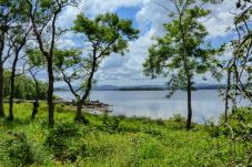 Inchagoill Island, Lough Corrib, Co Galway © Failte Ireland