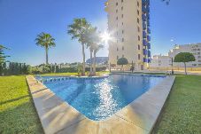 Appartement à Calpe / Calp - Apartment Cuellar 1 - PlusHolidays