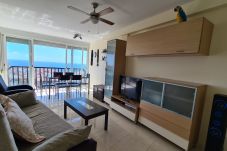 Appartement à Benidorm - Apartamento Acacias 19 IF Benidorm