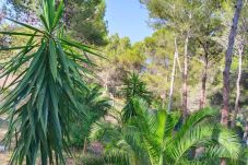 Cabane à Sperlonga - Wild Wild Nest Sperlongaresort