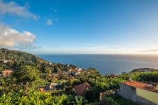 Studio à Calheta - White Rabbit I by Madeira Sun Travel