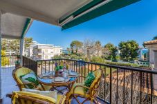 Apartment in Alcudia Beach