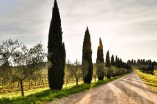 Appartement à Rignano sull´Arno - Fattoria del Chianti close to Florence for four