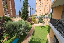 Studio à Benidorm - Estudio Acacias IV 1 IF Benidorm